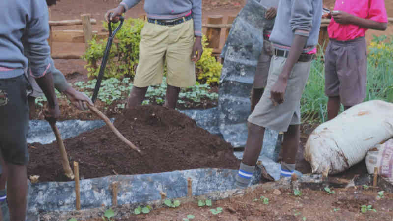 Grüne_Oase_im_Slum–der_Schulgarten_der_Five_Star_School-Artikel1