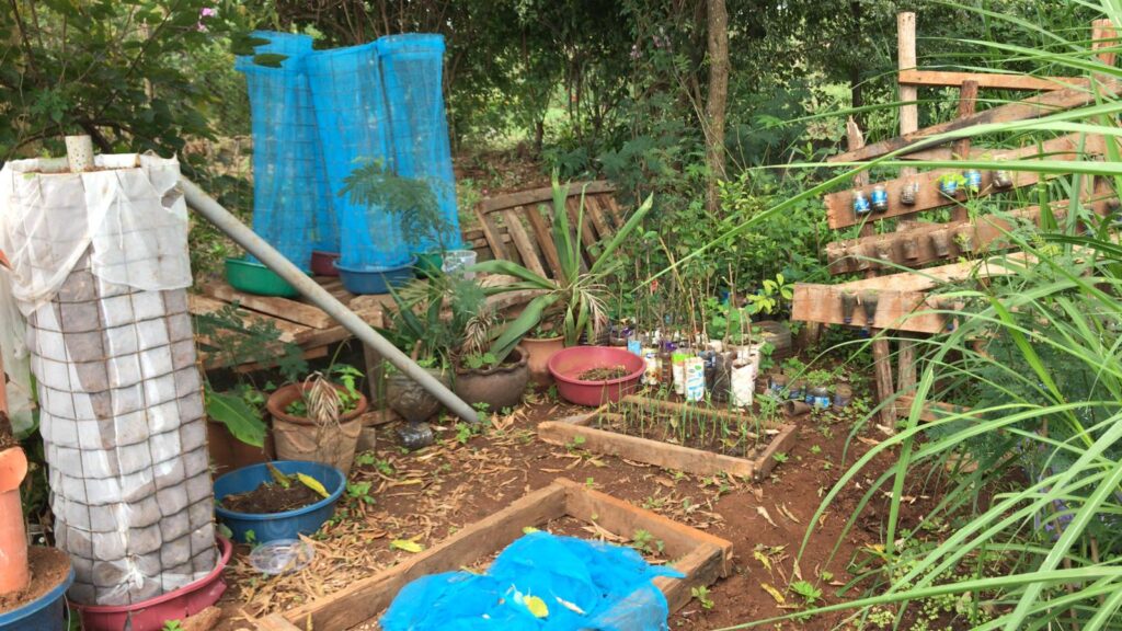 Nyendo_Mobile_Landless Farming_Bild_1